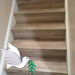 Meet your Posher, Moises